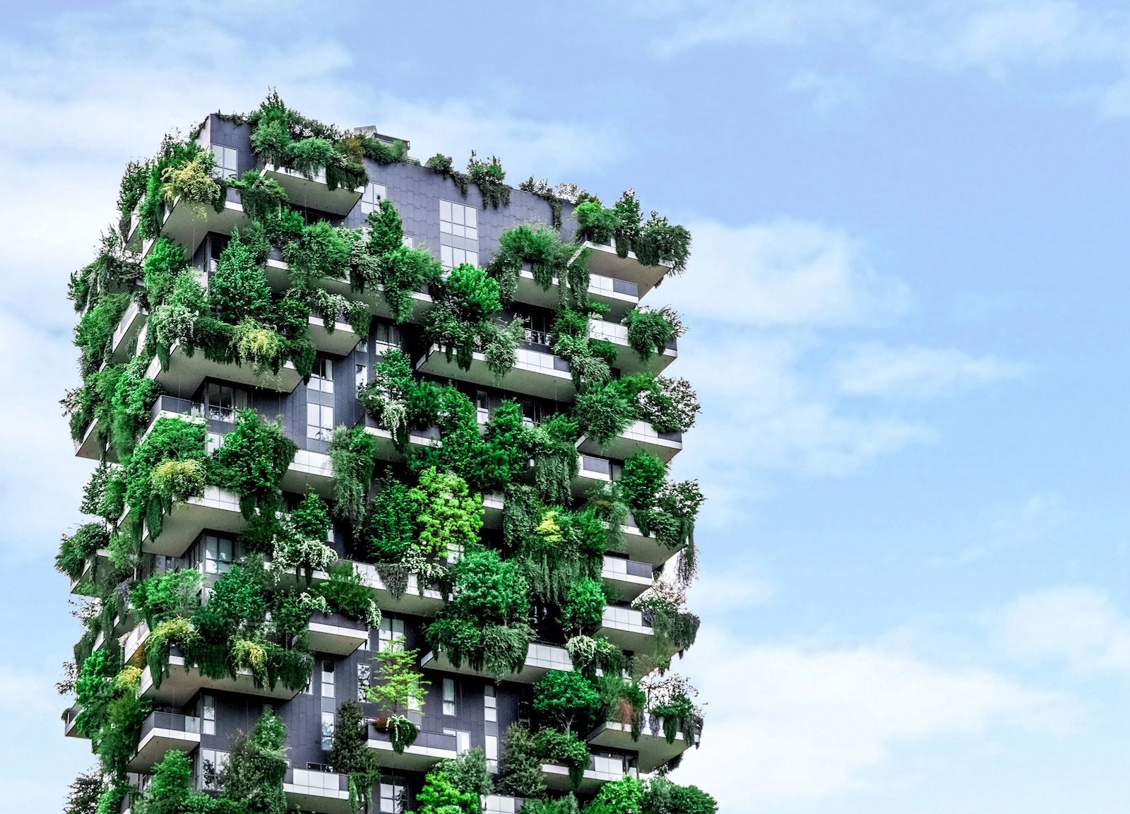 Africa's first vertical forest unveiled in Egypt Sure Travel